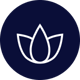 icon-spa